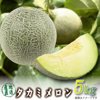 【2026年発送 先行予約】生産農家応援・もぎたて直送 タカミメロン 約5kg(E309)