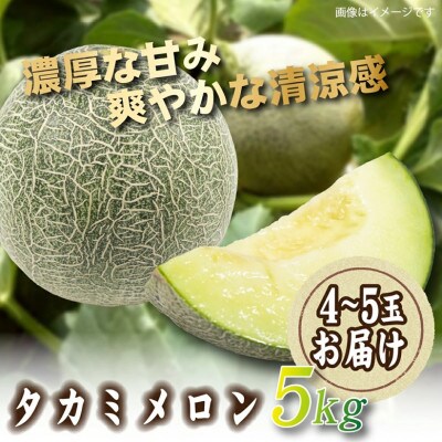 【2026年発送 先行予約】生産農家応援・もぎたて直送 タカミメロン 約5kg(E309)