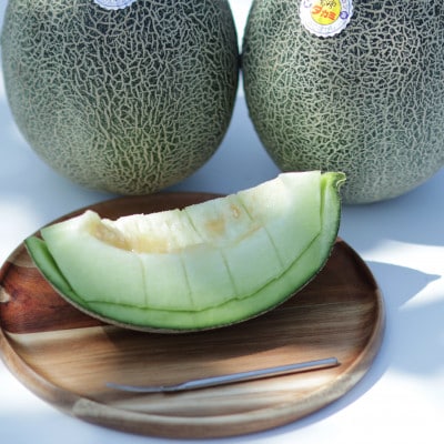 【2026年発送 先行予約】生産農家応援・もぎたて直送 タカミメロン 約5kg(E309)