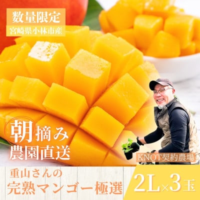 【2026年発送 先行予約】生産農家応援・濃厚果肉 みやざき完熟マンゴー極撰 2L×3玉(E308)
