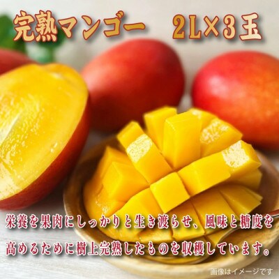 【2026年発送 先行予約】生産農家応援・濃厚果肉 みやざき完熟マンゴー極撰 2L×3玉(E308)