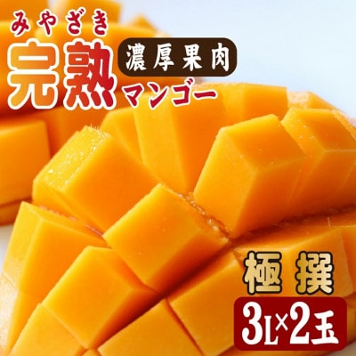 【2026年発送 先行予約】生産農家応援・濃厚果肉 みやざき完熟マンゴー極撰 3L×2玉(E307)