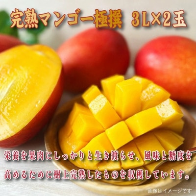 【2026年発送 先行予約】生産農家応援・濃厚果肉 みやざき完熟マンゴー極撰 3L×2玉(E307)