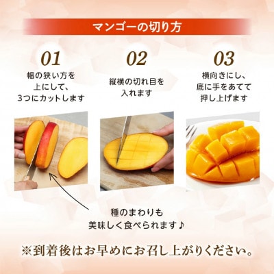 【2026年発送 先行予約】生産農家応援・濃厚果肉 みやざき完熟マンゴー極撰 3L×2玉(E307)