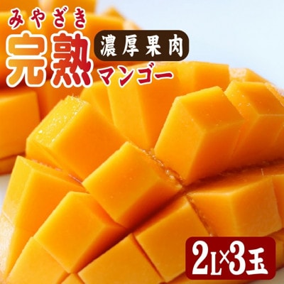 【2026年発送 先行予約】生産農家応援・濃厚果肉 みやざき完熟マンゴー 2L×3玉(E306)