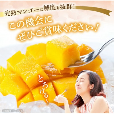 【2026年発送 先行予約】生産農家応援・濃厚果肉 みやざき完熟マンゴー 3L×2玉(E305)