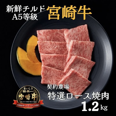【新鮮チルド発送!!】A5等級宮崎牛特選ロース焼肉 1.2kg(E295)
