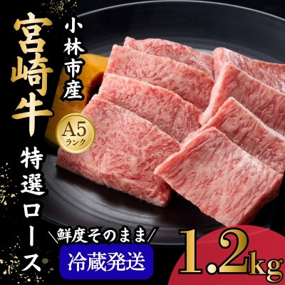 【新鮮チルド発送!!】A5等級宮崎牛特選ロース焼肉 1.2kg(E295)