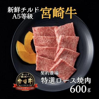【新鮮チルド発送!!】A5等級宮崎牛特選ロース焼肉 600g(E293)