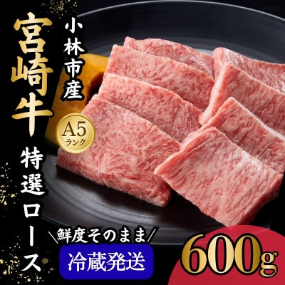 【新鮮チルド発送!!】A5等級宮崎牛特選ロース焼肉 600g(E293)