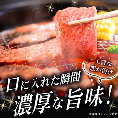 【新鮮チルド発送!!】A5等級宮崎牛特選ロース焼肉 600g(E293)