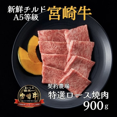 【新鮮チルド発送!!】A5等級宮崎牛特選ロース焼肉 900g(E294)