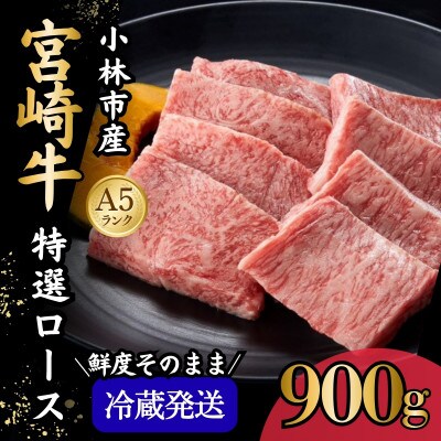【新鮮チルド発送!!】A5等級宮崎牛特選ロース焼肉 900g(E294)