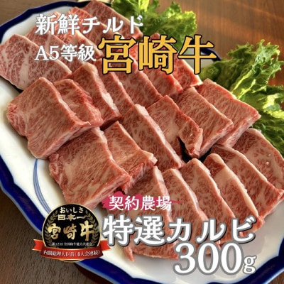 【新鮮チルド発送!!】A5等級宮崎牛特選カルビ焼肉 300g(E284)