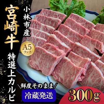 【新鮮チルド発送!!】A5等級宮崎牛特選カルビ焼肉 300g(E284)