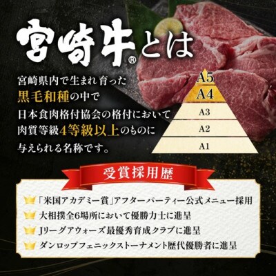 【新鮮チルド発送!!】A5等級宮崎牛特選カルビ焼肉 300g(E284)