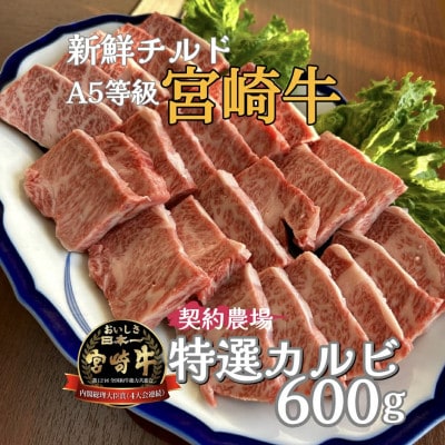 【新鮮チルド発送!!】A5等級宮崎牛特選カルビ焼肉 600g(E285)