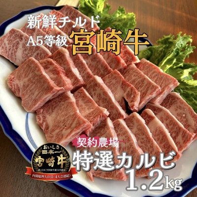 【新鮮チルド発送!!】A5等級宮崎牛特選カルビ焼肉 1.2kg(E287)