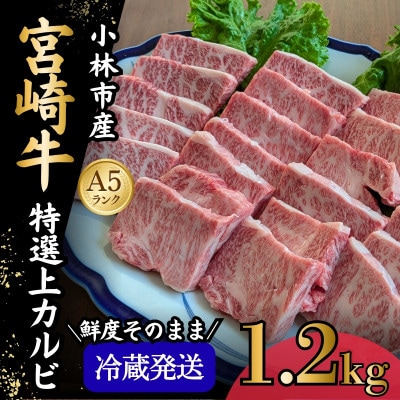 【新鮮チルド発送!!】A5等級宮崎牛特選カルビ焼肉 1.2kg(E287)