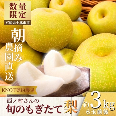 【もぎたて直送】旬のもぎたて梨 約3kg(F120)