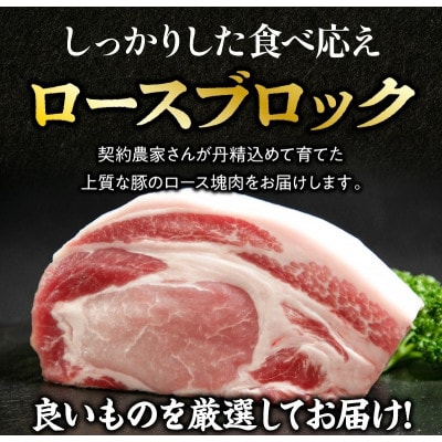 契約農場のひなた宮崎極豚ロース塊500g(F012)