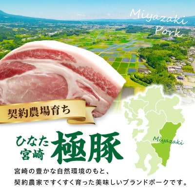 契約農場のひなた宮崎極豚ロース塊500g(F012)