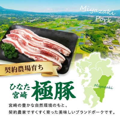 【新鮮直送】契約農場のひなた宮崎極豚バラ 600g(F009)