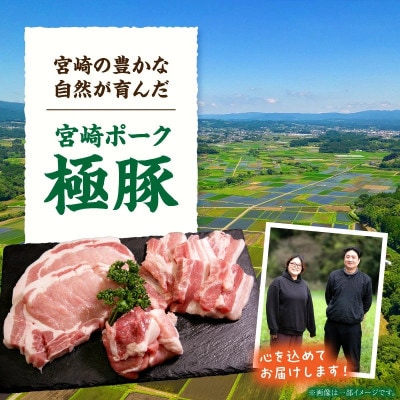 【新鮮直送】契約農場のひなた宮崎極豚焼肉食べ比べセット 900g(E384)