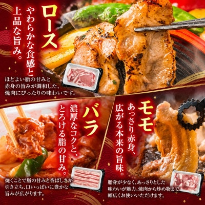 【新鮮直送】契約農場のひなた宮崎極豚焼肉食べ比べセット1.8kg(E385)