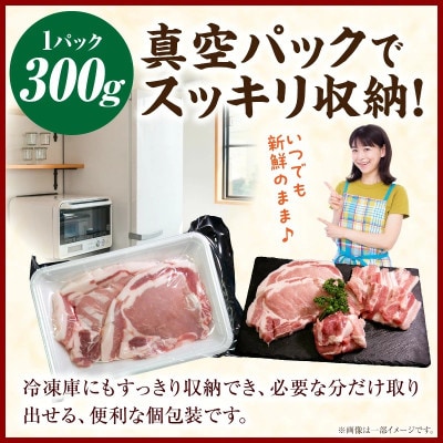 【新鮮直送】契約農場のひなた宮崎極豚焼肉食べ比べセット 2.7kg(E386)