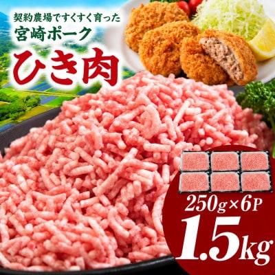 【新鮮直送】宮崎ポークひき肉 1.5kg(E381)