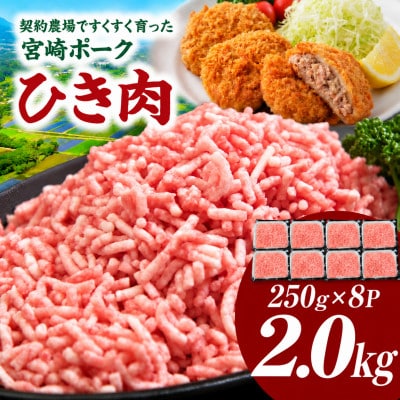 【新鮮直送】宮崎ポークひき肉 2.0kg(E382)