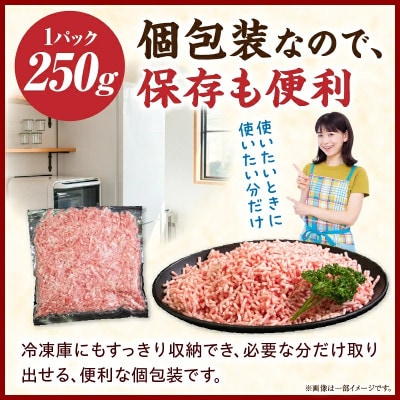 【新鮮直送】宮崎ポークひき肉 2.0kg(E382)