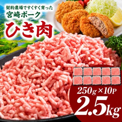 【新鮮直送】宮崎ポークひき肉 2.5kg(E383)