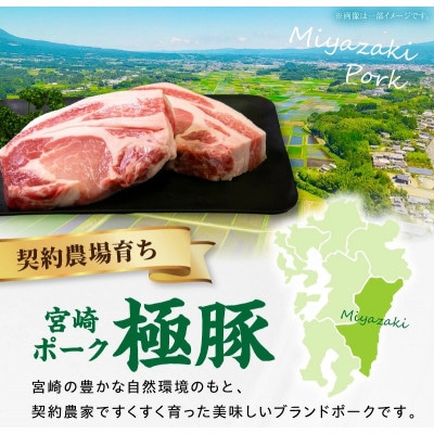 【新鮮直送】契約農場のひなた宮崎極豚厚切りロースステーキ 600g(E379)
