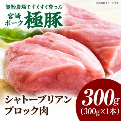 【新鮮直送】契約農場のひなた宮崎極豚シャトーブリアンブロック 300g(E296)