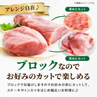 【新鮮直送】契約農場のひなた宮崎極豚シャトーブリアンブロック 300g(E296)