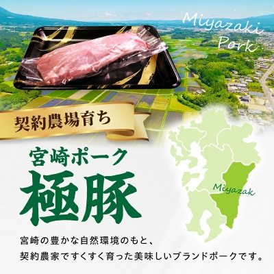 【新鮮直送】契約農場のひなた宮崎極豚シャトーブリアンブロック 300g(E296)