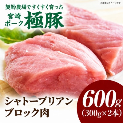 【新鮮直送】契約農場のひなた宮崎極豚シャトーブリアンブロック 600g(E297)