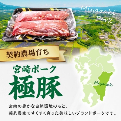 【新鮮直送】契約農場のひなた宮崎極豚シャトーブリアンブロック 600g(E297)