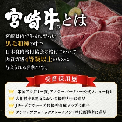 【美味しさ直送】ブランド黒毛和牛宮崎牛ヒレ塊  ブロック肉 500g(F014)