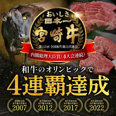 【美味しさ直送】ブランド黒毛和牛宮崎牛ヒレ塊  ブロック肉 500g(F014)