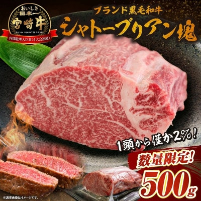【美味しさ直送】ブランド黒毛和牛宮崎牛シャトーブリアン塊 500g(F015)