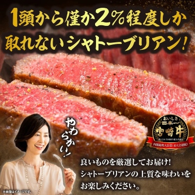 【美味しさ直送】ブランド黒毛和牛宮崎牛シャトーブリアン塊 500g(F015)
