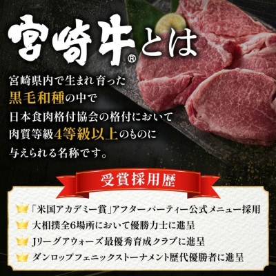 【美味しさ直送】ブランド黒毛和牛宮崎牛シャトーブリアン塊 500g(F015)