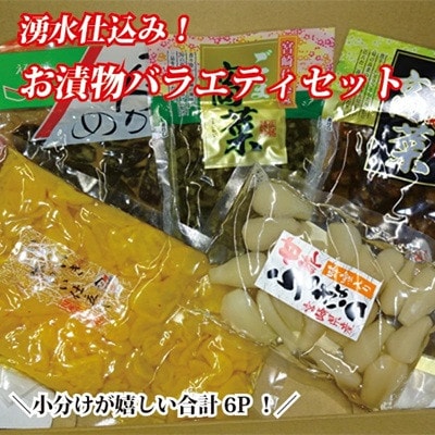 【国産素材の宮崎お漬物】湧水仕込みのお漬物　ごはんのお供よくばりセット(B049 )