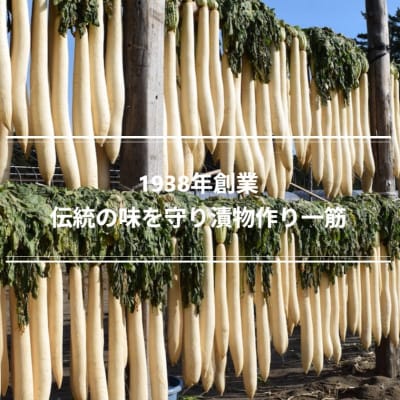 【国産素材の宮崎お漬物】湧水仕込みのお漬物　ごはんのお供よくばりセット(B049 )