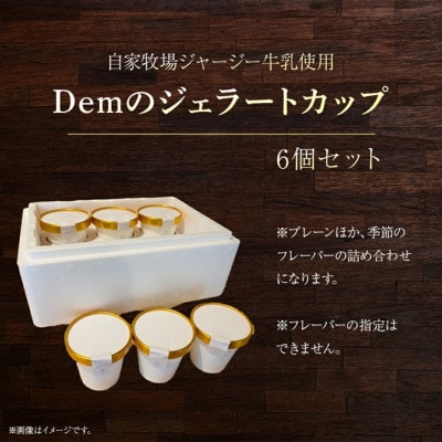 【自家牧場ジャージー牛乳使用】Demのジェラートカップ6個セット(小林市)(E048)