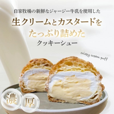 【自家牧場ジャージー牛乳使用】Demのクッキーシュー 100g×8個(小林市)(E053)
