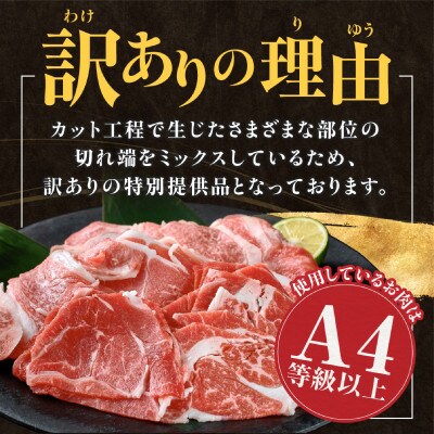 【訳あり】A4等級以上 宮崎牛切り落とし500g×2P 計1kg(小林市)